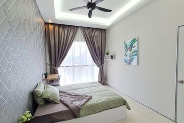 Cyperus @ Tropicana Gardens