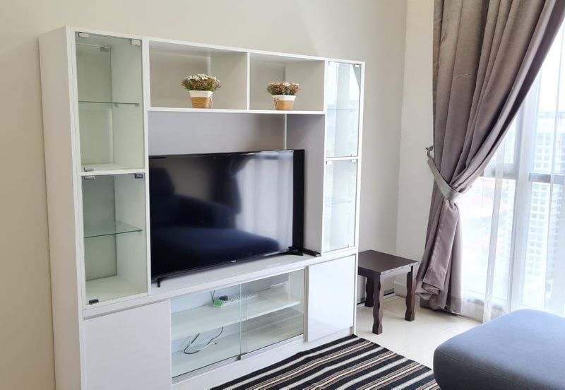 Cyperus @ Tropicana Gardens