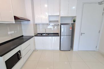 Cyperus @ Tropicana Gardens