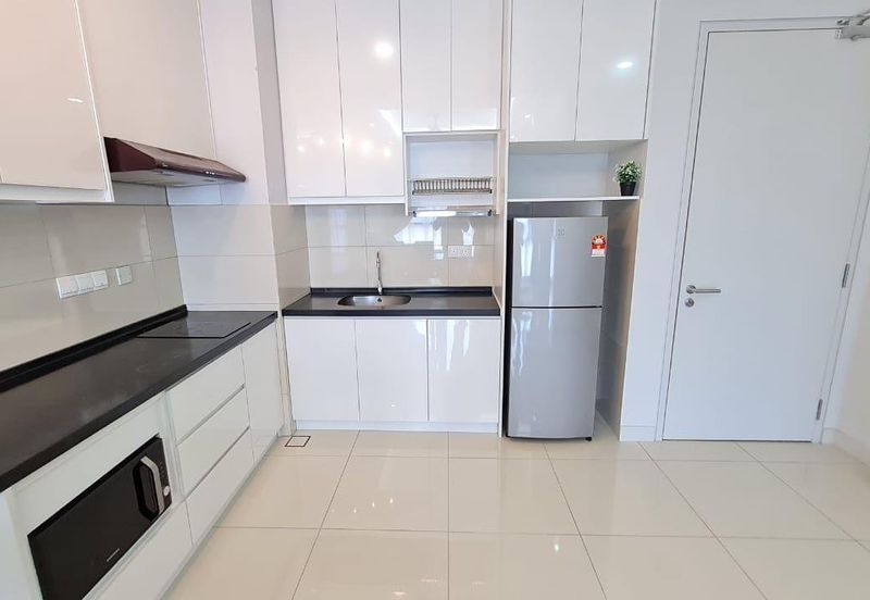 Cyperus @ Tropicana Gardens