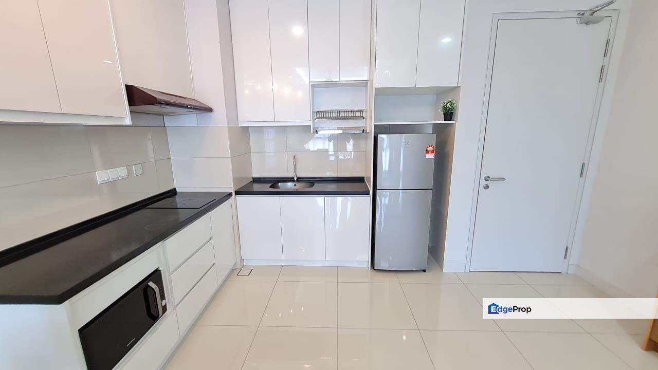 Cyperus @ Tropicana Gardens, Selangor, Petaling Jaya