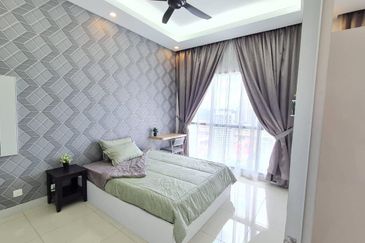 Cyperus @ Tropicana Gardens