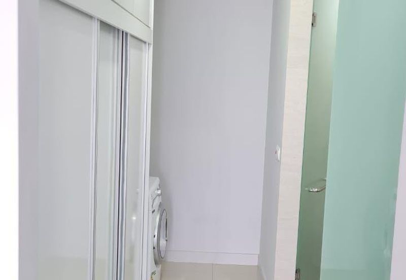 Cyperus @ Tropicana Gardens