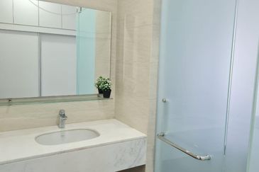 Cyperus @ Tropicana Gardens