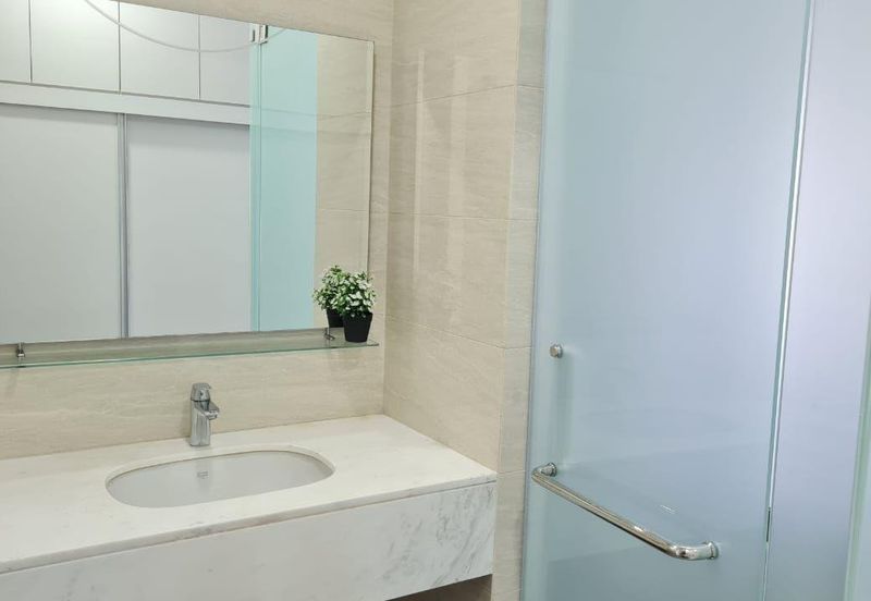 Cyperus @ Tropicana Gardens