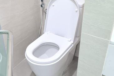 Cyperus @ Tropicana Gardens