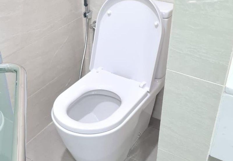 Cyperus @ Tropicana Gardens