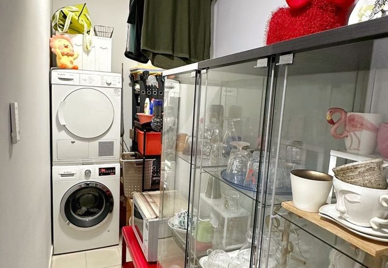 Dianthus @ Tropicana Gardens