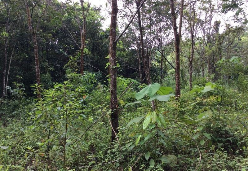 Pahang Bentong Karak Agriculture Land for Sale