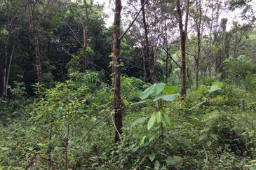 Pahang Bentong Karak Agriculture Land for Sale
