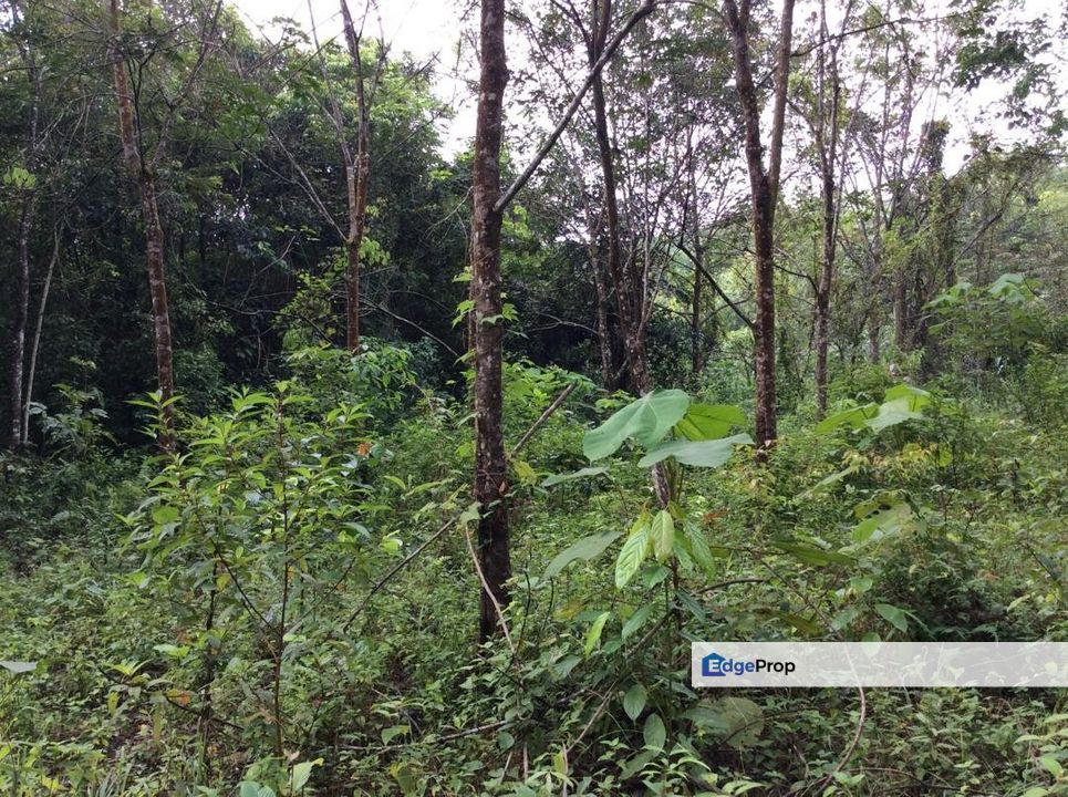 Pahang Bentong Karak Agriculture Land for Sale, Pahang, Karak