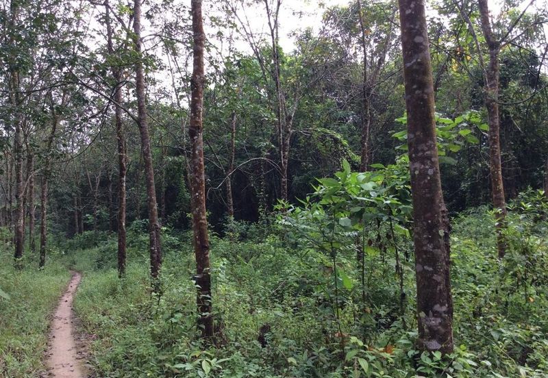 Pahang Bentong Karak Agriculture Land for Sale