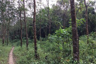Pahang Bentong Karak Agriculture Land for Sale