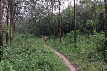 Pahang Bentong Karak Agriculture Land for Sale