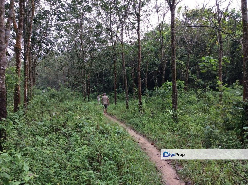 Pahang Bentong Karak Agriculture Land for Sale, Pahang, Karak