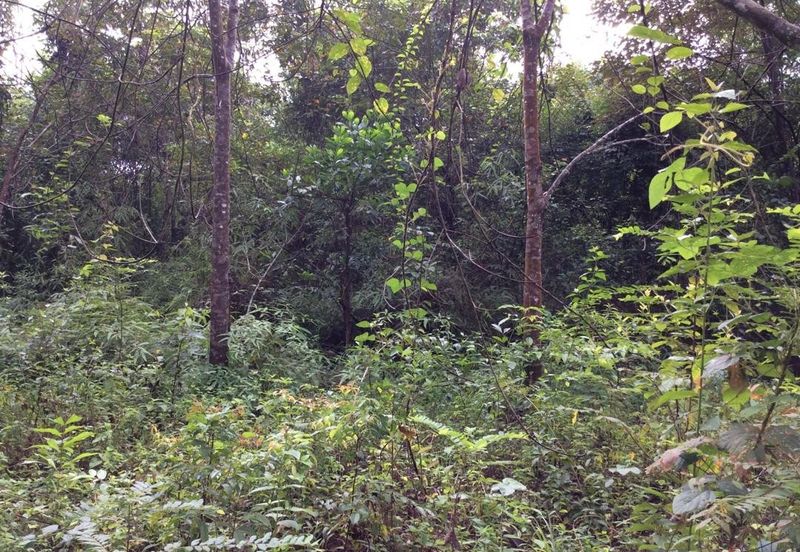 Pahang Bentong Karak Agriculture Land for Sale