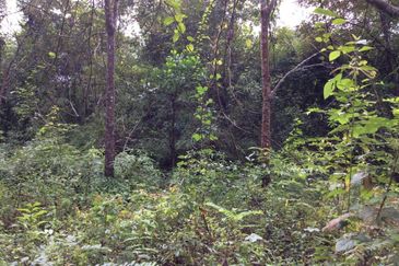 Pahang Bentong Karak Agriculture Land for Sale