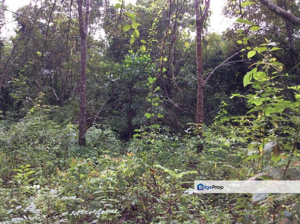 Pahang Bentong Karak Agriculture Land for Sale, Pahang, Karak