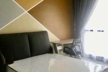 Cyperus @ Tropicana Gardens