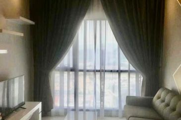 Cyperus @ Tropicana Gardens