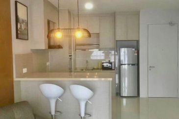 Cyperus @ Tropicana Gardens