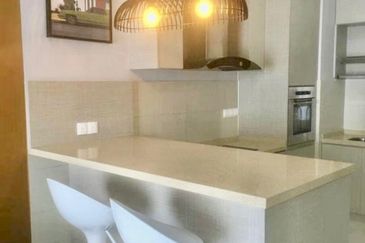 Cyperus @ Tropicana Gardens