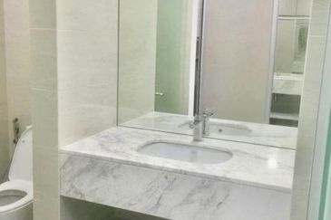 Cyperus @ Tropicana Gardens