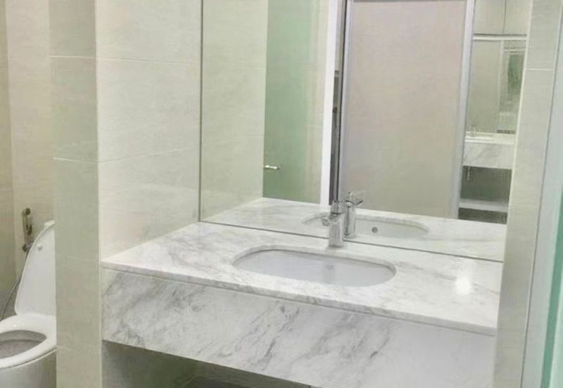 Cyperus @ Tropicana Gardens