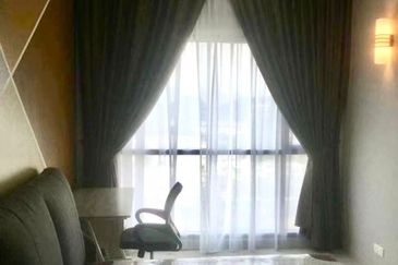 Cyperus @ Tropicana Gardens