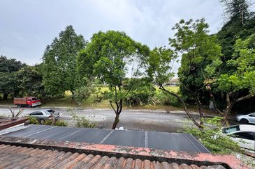 Jalan Anggerik Doritis 31/142