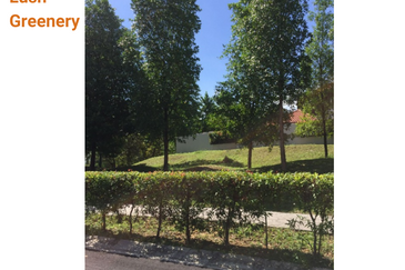 Bukit Jelutong An exclusive Bungalow Lot