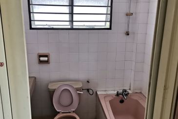 City Garden Orchid Court