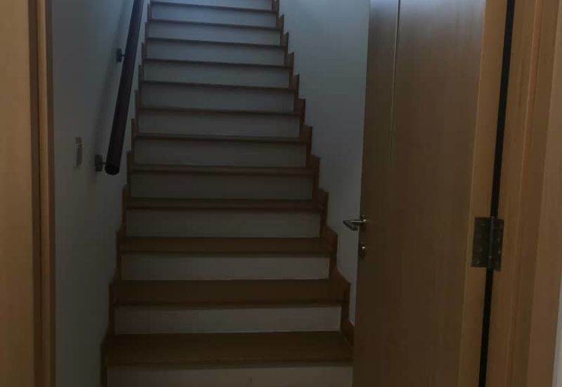 The Colony by Infinitum