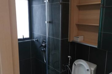 The Colony by Infinitum