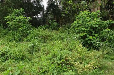 Kuala Selangor Jeram Industrial Zone For Sale