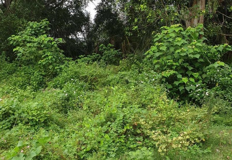 Kuala Selangor Jeram Industrial Zone For Sale