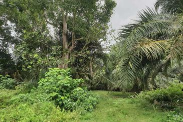 Kuala Selangor Jeram Industrial Zone For Sale