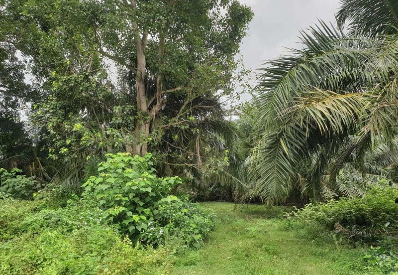 Kuala Selangor Jeram Industrial Zone For Sale