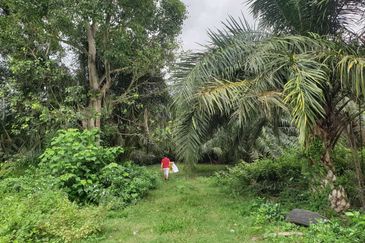 Kuala Selangor Jeram Industrial Zone For Sale