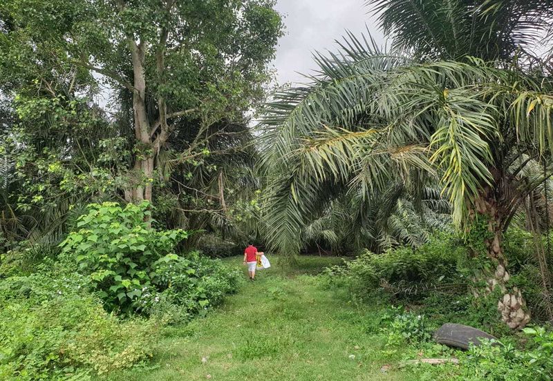 Kuala Selangor Jeram Industrial Zone For Sale