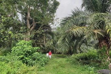 Kuala Selangor Jeram Industrial Zone For Sale