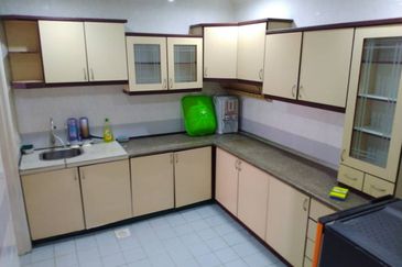 Evergreen Park Cypress