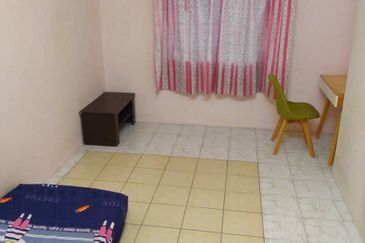 Evergreen Park Cypress