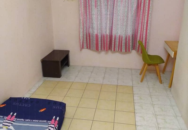 Evergreen Park Cypress