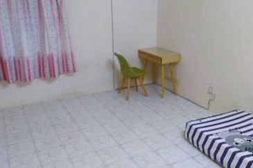 Evergreen Park Cypress