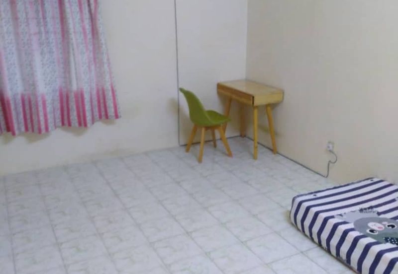 Evergreen Park Cypress