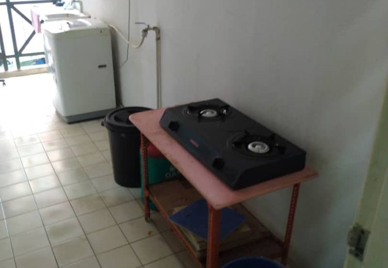 Evergreen Park Cypress