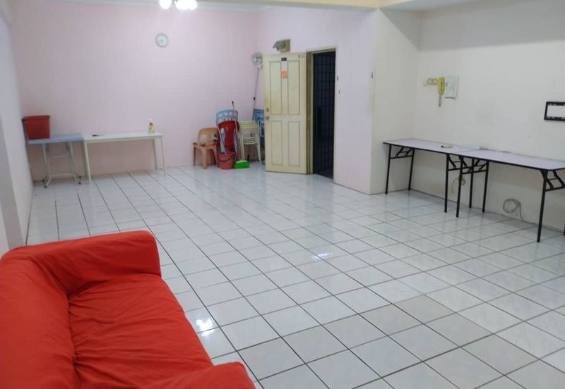 Evergreen Park Cypress