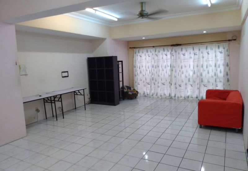 Evergreen Park Cypress