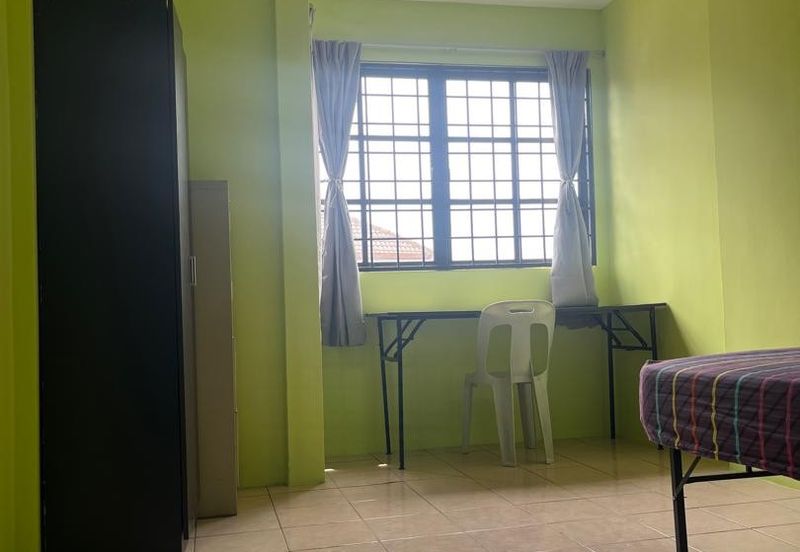 Evergreen Park Acorn and Hazel